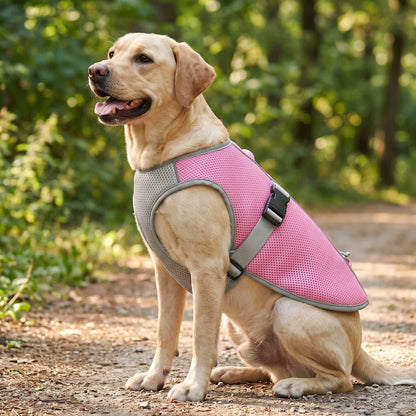 Atmungsaktive Kühlweste Für Hunde | ChillPup