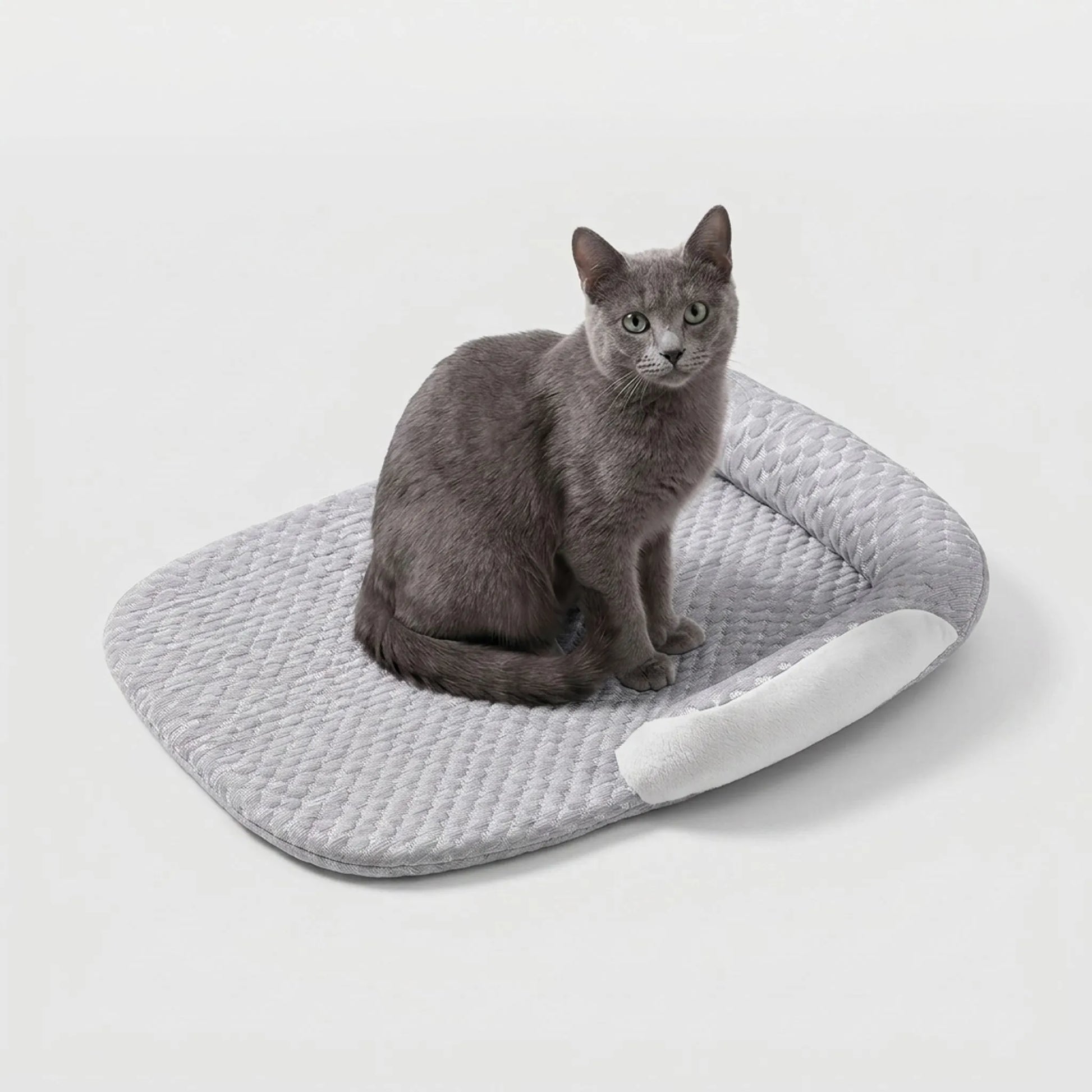 Atmungsaktives Ovales Katzenbett Mit Rand | PurrChill