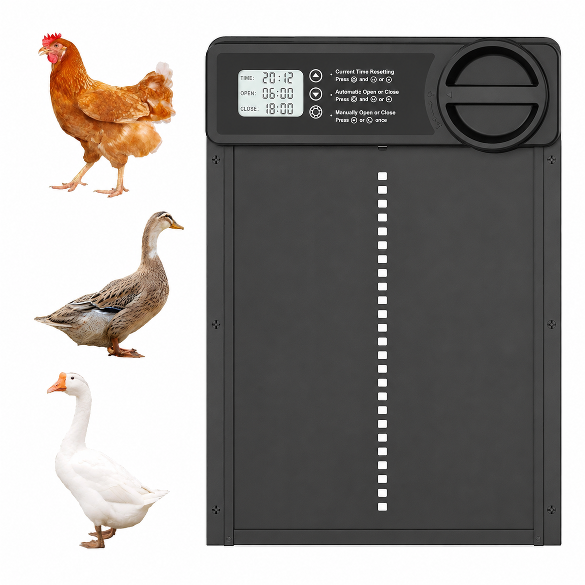 Automatische Hühnerklappe ohne Strom oder Verkabelung | CoopGuard