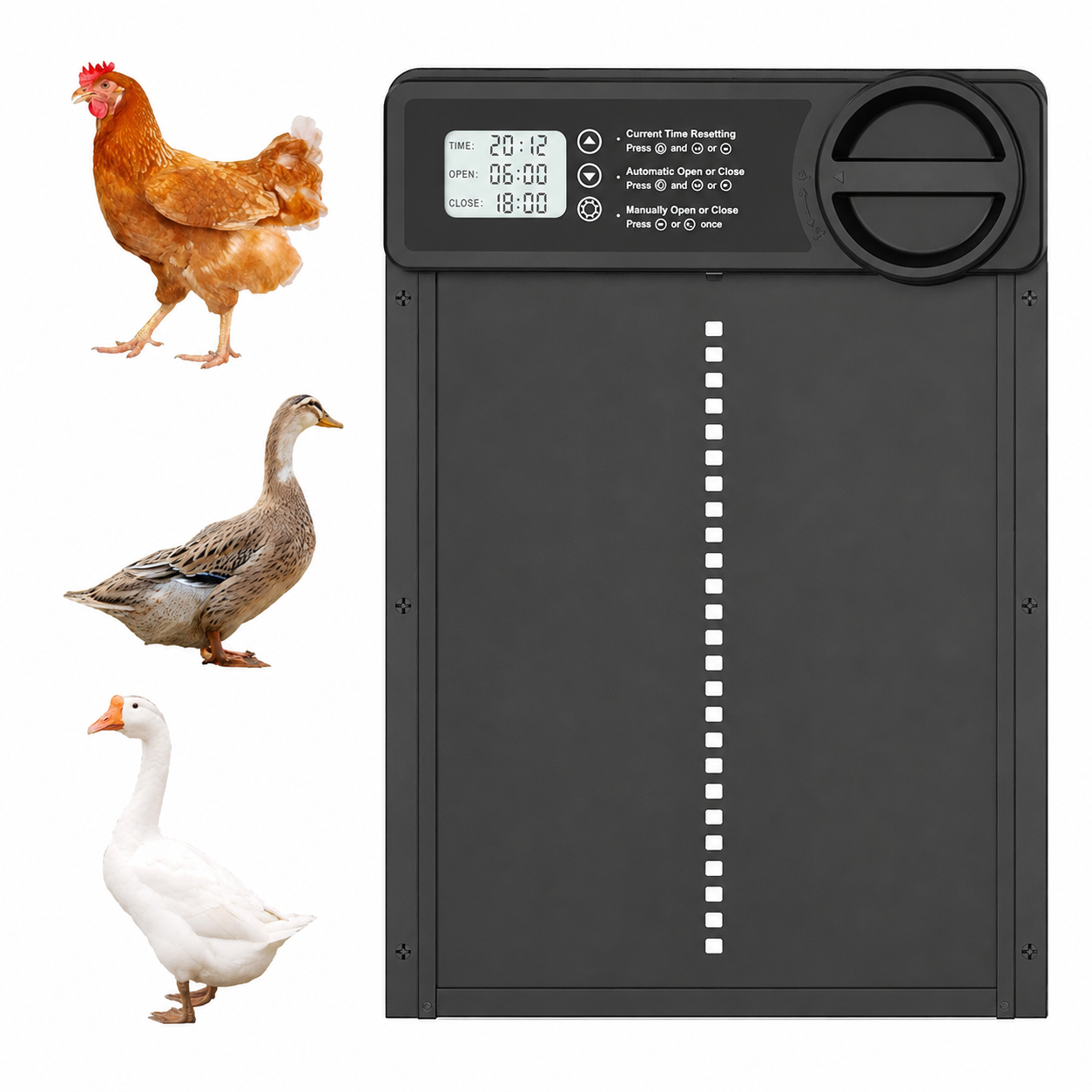 Automatische Hühnerklappe ohne Strom oder Verkabelung | CoopGuard