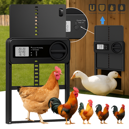 Automatische Hühnerklappe ohne Strom oder Verkabelung | CoopGuard