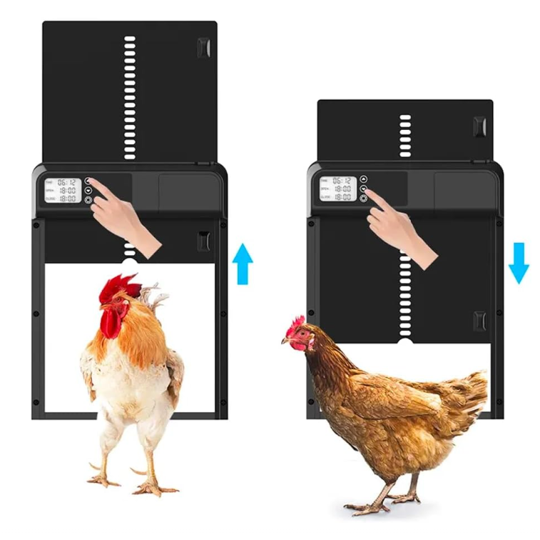 Automatische Hühnerstalltür mit Zeitsteuerung für Auslaufställe | Voltaro