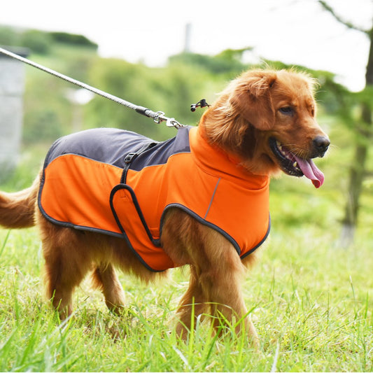 Baxor | Hunde kühlweste mit reflektierendem Schutz