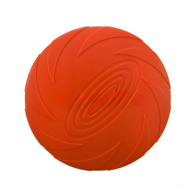 Baxter Frisbee Hund