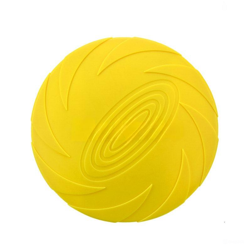 Baxter Frisbee Hund