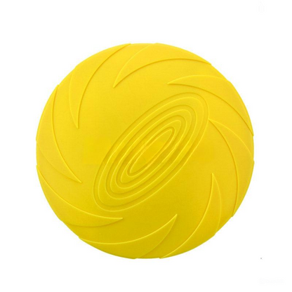 Baxter Frisbee Hund