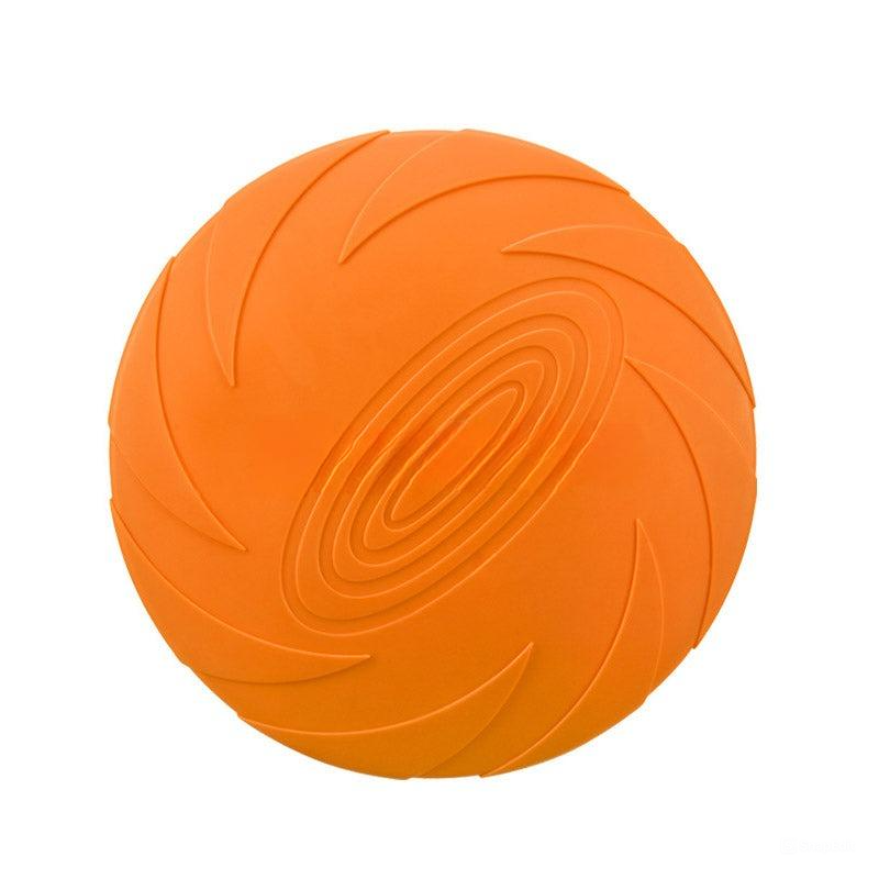 Baxter Frisbee Hund