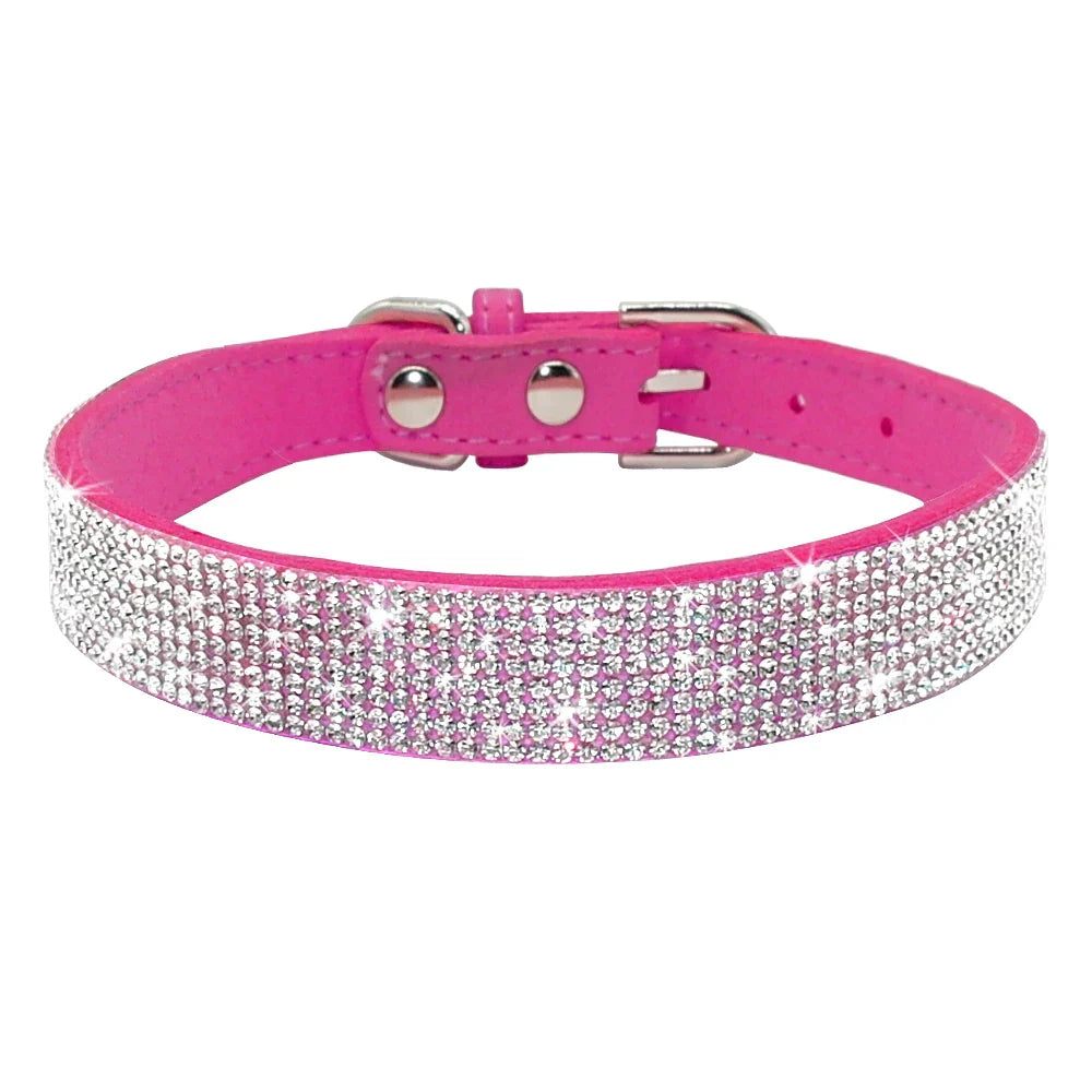 Bella Hundehalsband