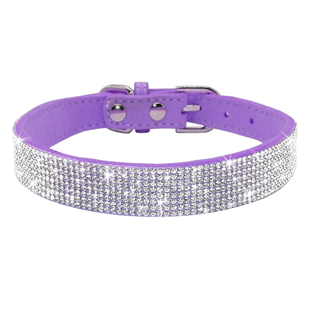 Bella Hundehalsband