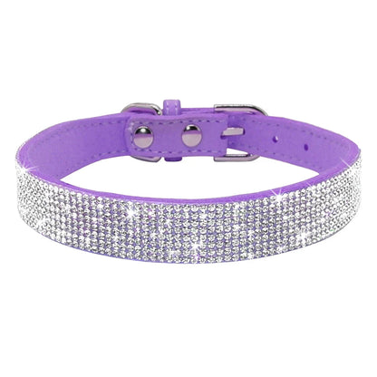Bella Hundehalsband