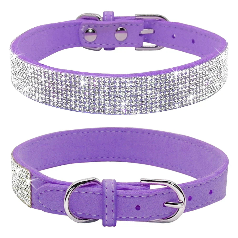 Bella Hundehalsband