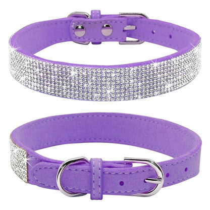 Bella Hundehalsband