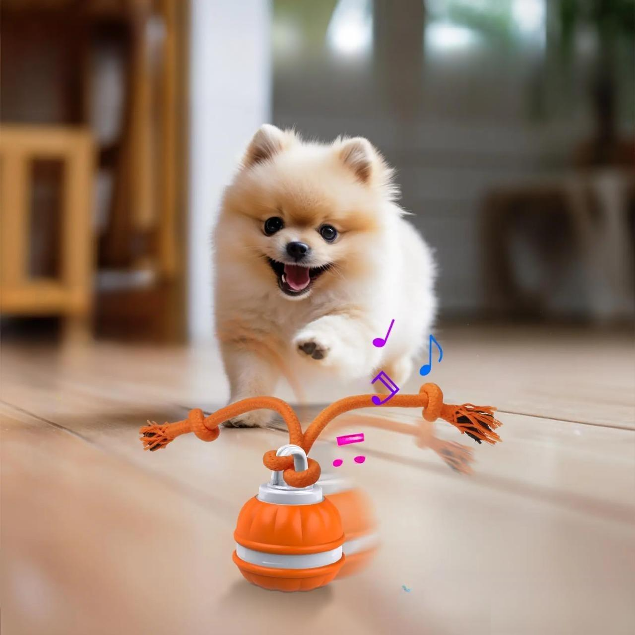 Bello Interaktives Hundespielzeug
