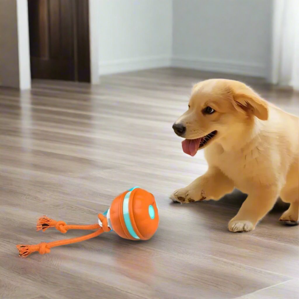 Bello Interaktives Hundespielzeug