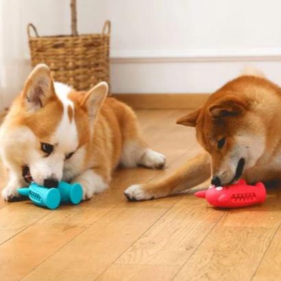 Benji Kauspielzeug für Hunde