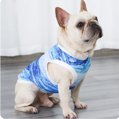 Frosty | Hundekühlweste mit Verdunstungskühlung für heiße Sommertage