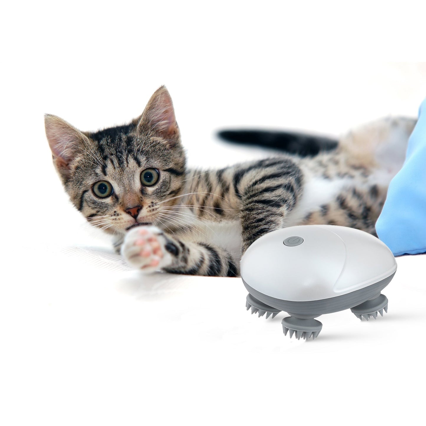 Bine Elektrische Katzenmassager fur Katzen