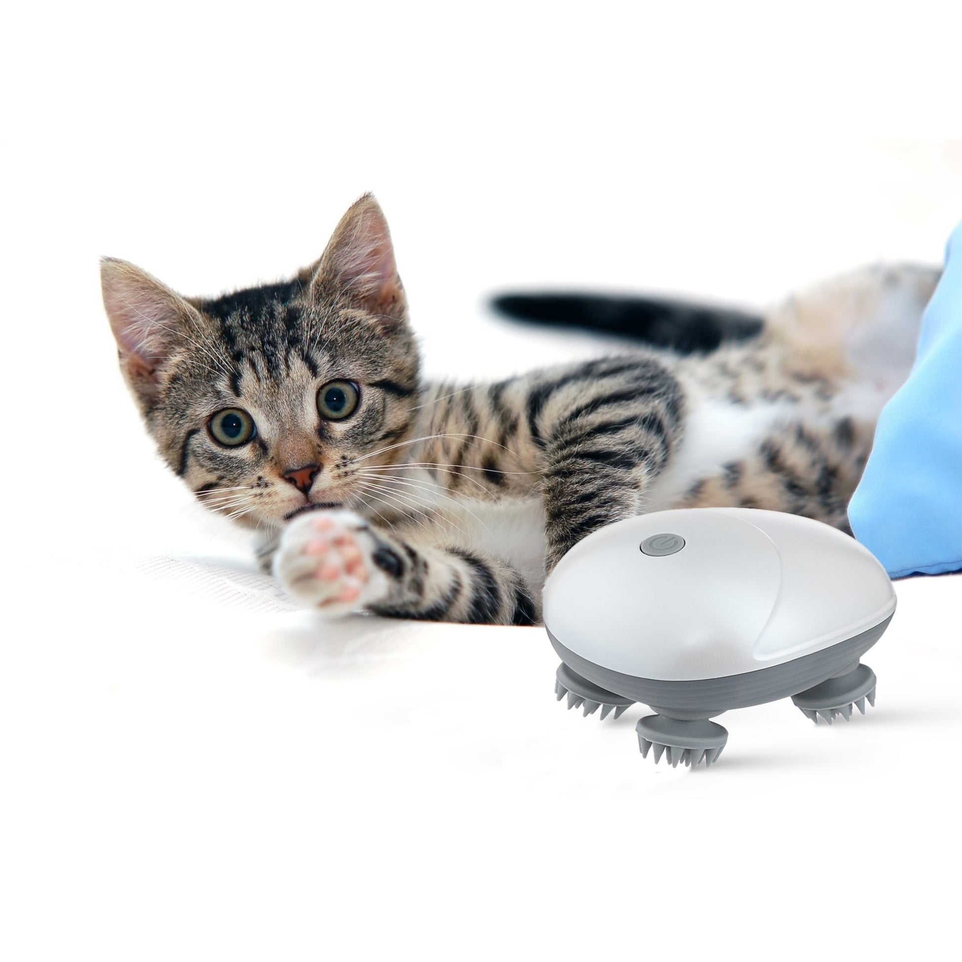Bine Elektrische Katzenmassager fur Katzen