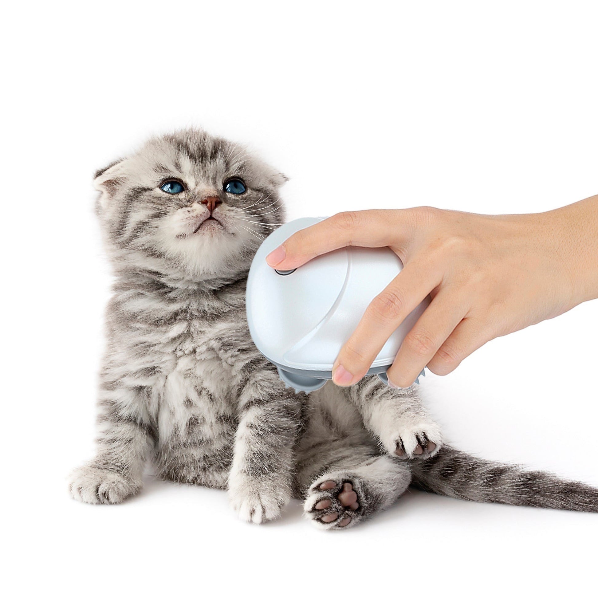 Bine Elektrische Katzenmassager fur Katzen