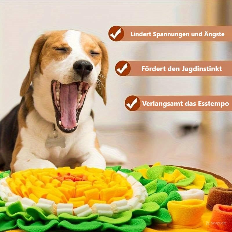 Binky Schnuffelteppich fur Hunde