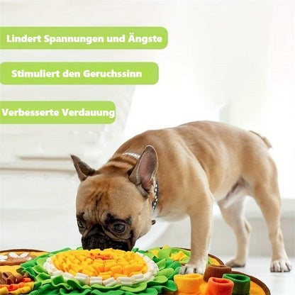 Binky Schnuffelteppich fur Hunde