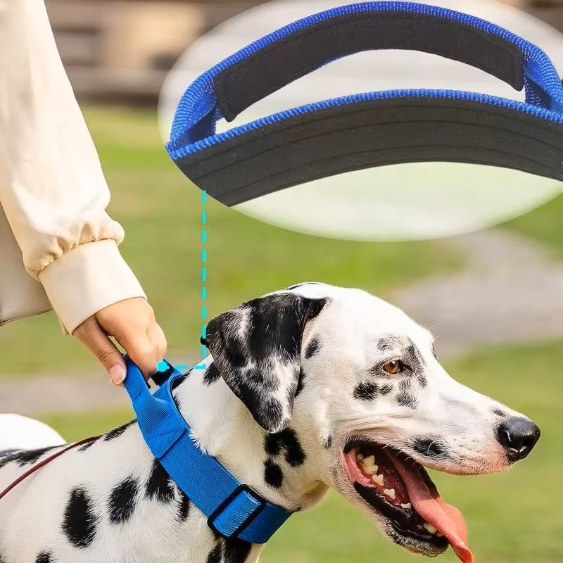 Bommel Hundehalsband