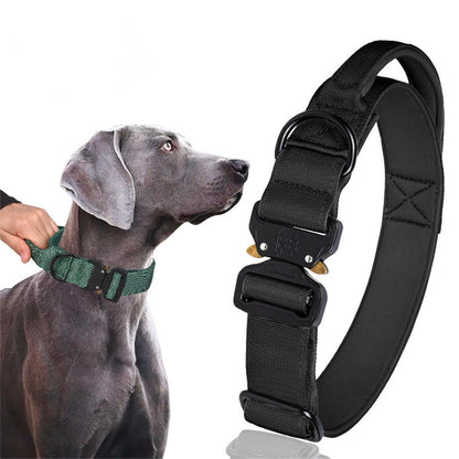 Bommel Hundehalsband