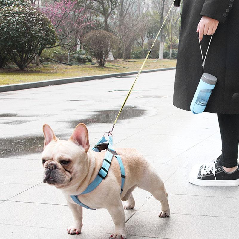 Bonnie Trinkflasche Hunde