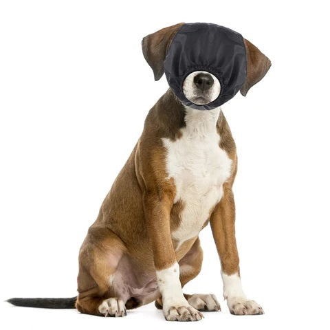 Bailey Beruhigungshilfe für Augenschutz