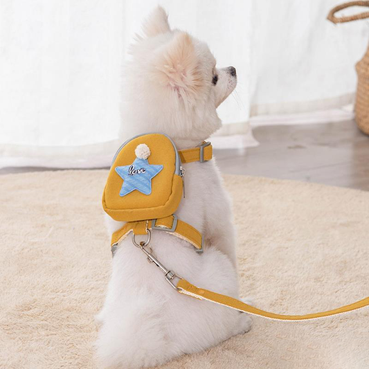 Charlie Hundeleine mit Tasche