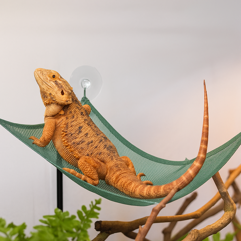 Rango | Reptilien Hängematte mit Saugnäpfen – Netzliege für Terrarium und Glasflächen