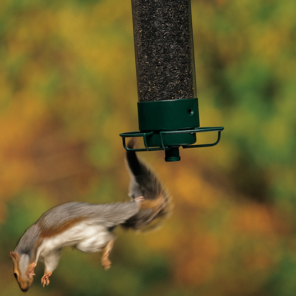 Garry | Vogelfutterspender für Garten – Eichhörnchensicher & sauber