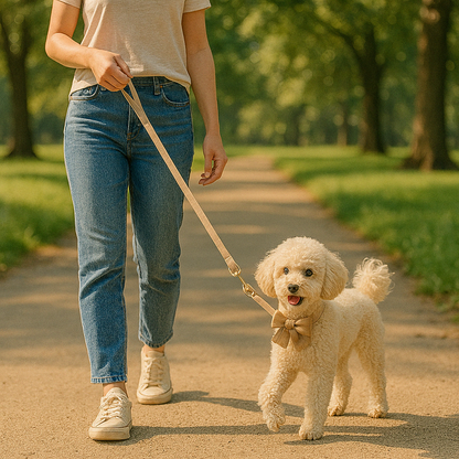 Elmo | Hundehalsband mit stilvoller Schleife für besondere Anlässe