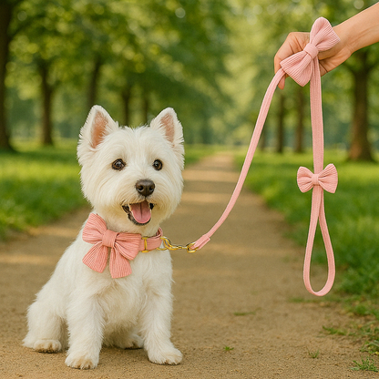 Elmo | Hundehalsband mit stilvoller Schleife für besondere Anlässe