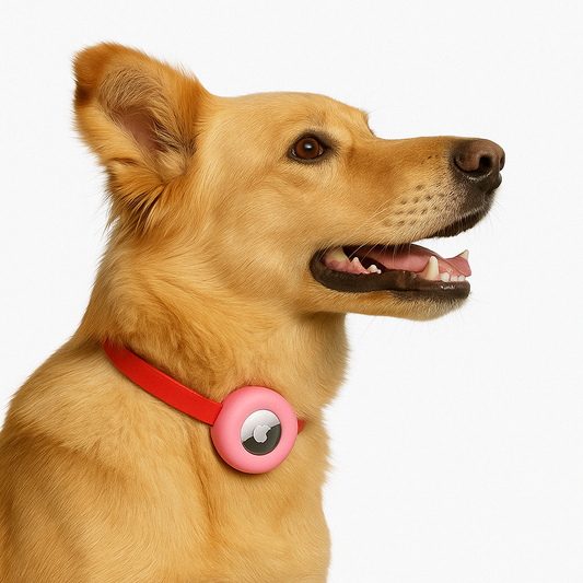Amie | Silikon AirTag Halter für Hundehalsband