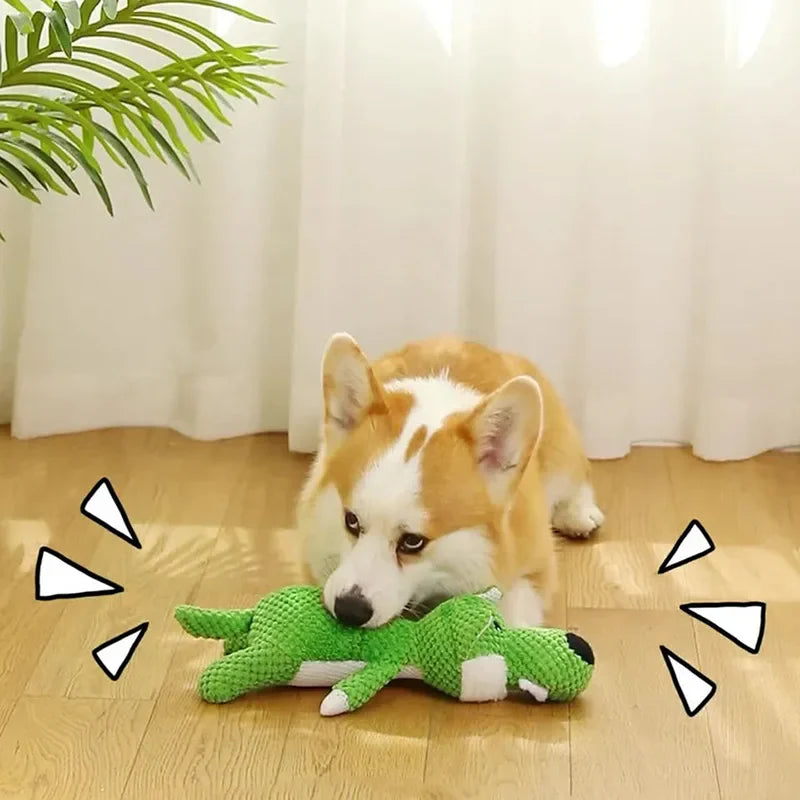 Chewy Interaktives Spielzeug fur Hunde