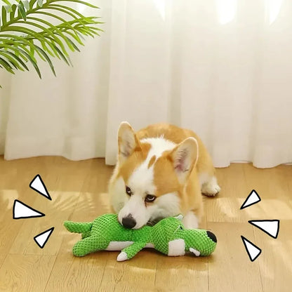 Chewy Interaktives Spielzeug fur Hunde