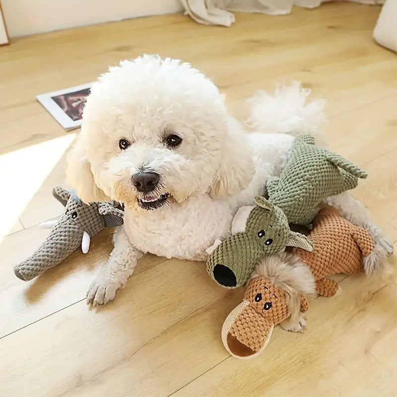Chewy Interaktives Spielzeug fur Hunde