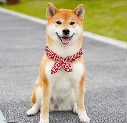Christoph Bandana Hund