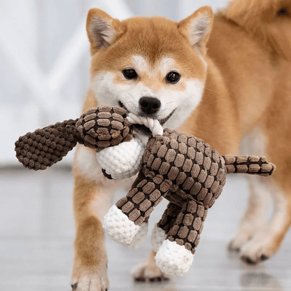 Cooper Robustes Hundespielzeug