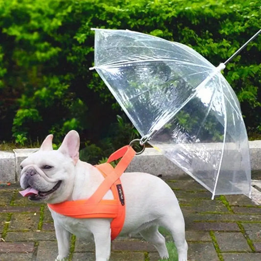 Daisy Hunde Regenschirm
