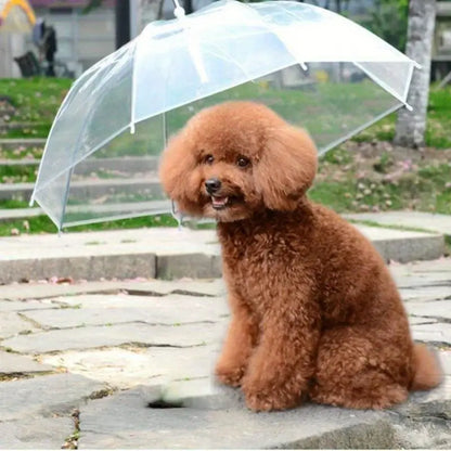 Daisy Hunde Regenschirm