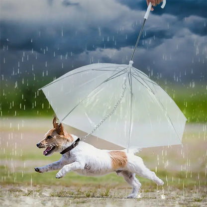 Daisy Hunde Regenschirm