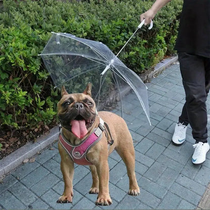 Daisy Hunde Regenschirm