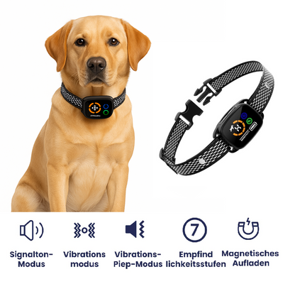 Dirk | Anti Bell Halsband Hund