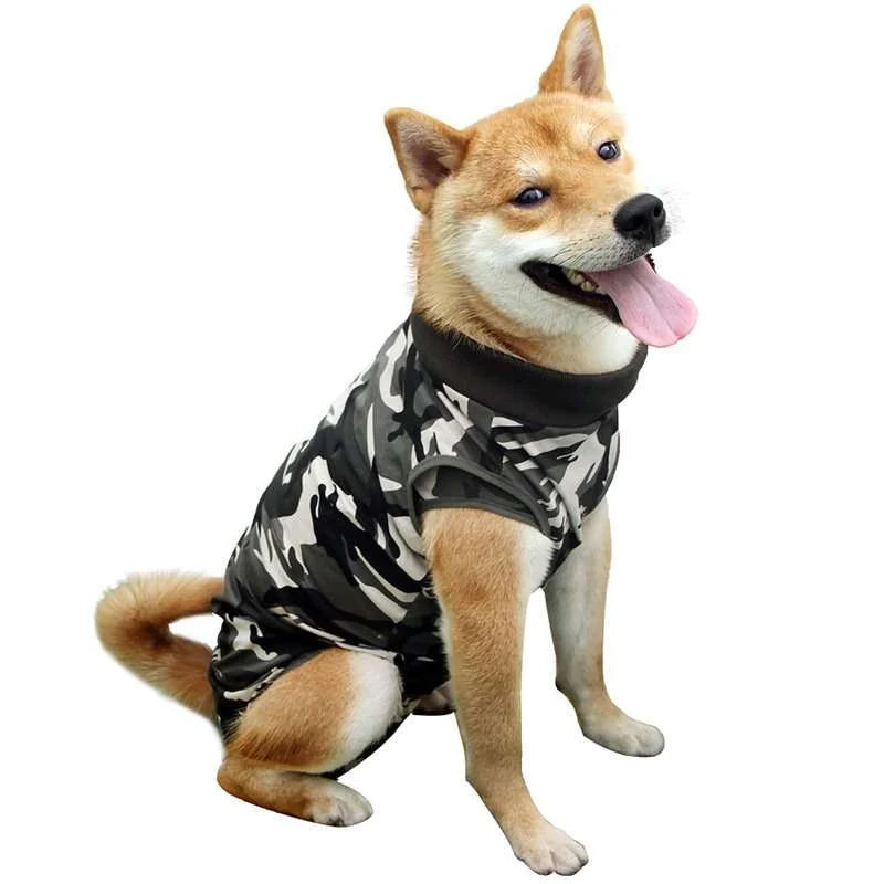 Ziggy Erholungsoverall für Hunde