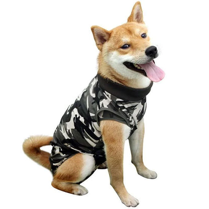 Ziggy Erholungsoverall für Hunde