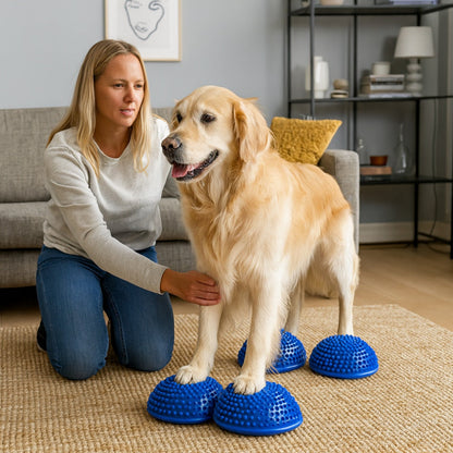 Doga Balance Pod für Hunde mit Antirutsch | Zenaro