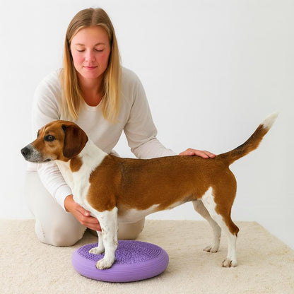 Doga Balancekissen für Hunde mit Antirutsch | Zenvia