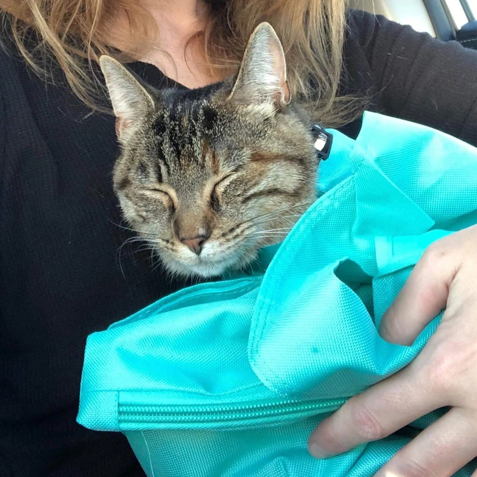 Lulu Tragetasche für Katzen und kleine Haustiere